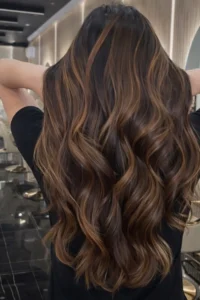 Black and Brown Balayage