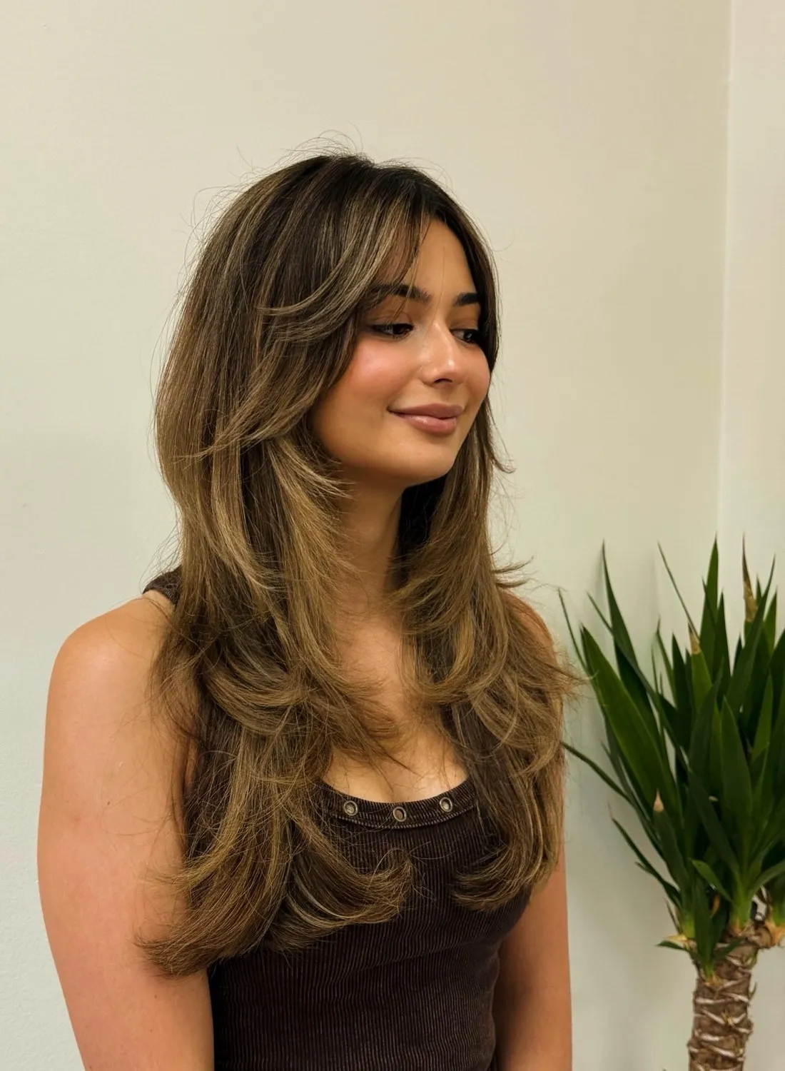 Layered Haircut with Wispy Tips