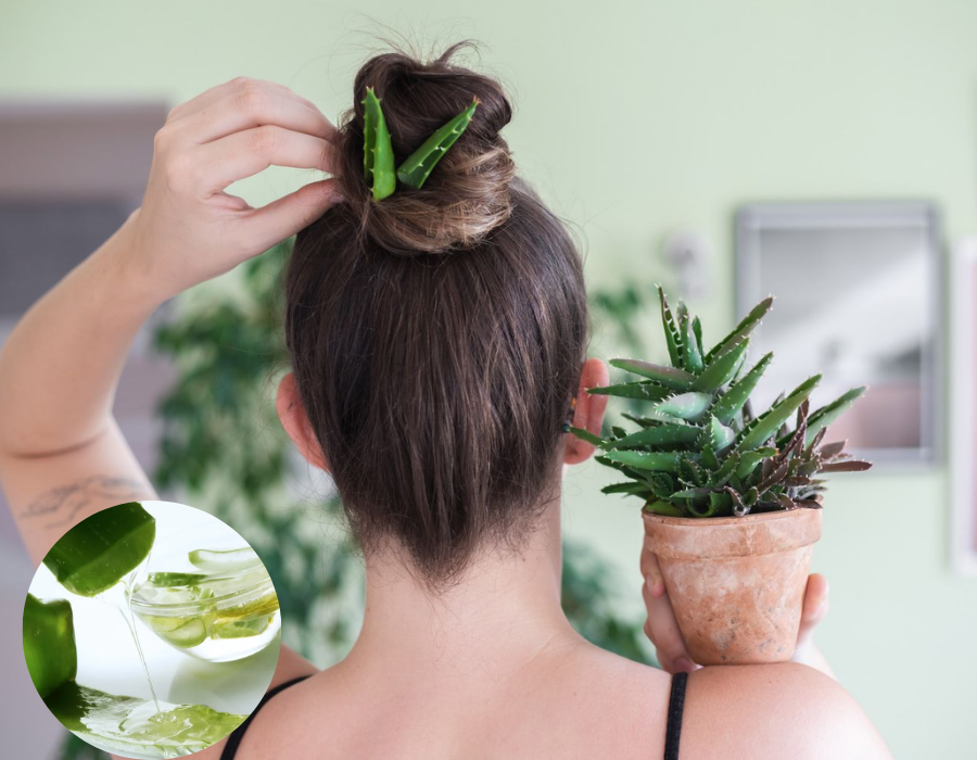 Benefits of Aloe Vera on Hair