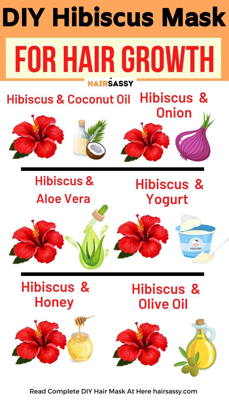 Hibiscus Hair Mask DIY: How to use 