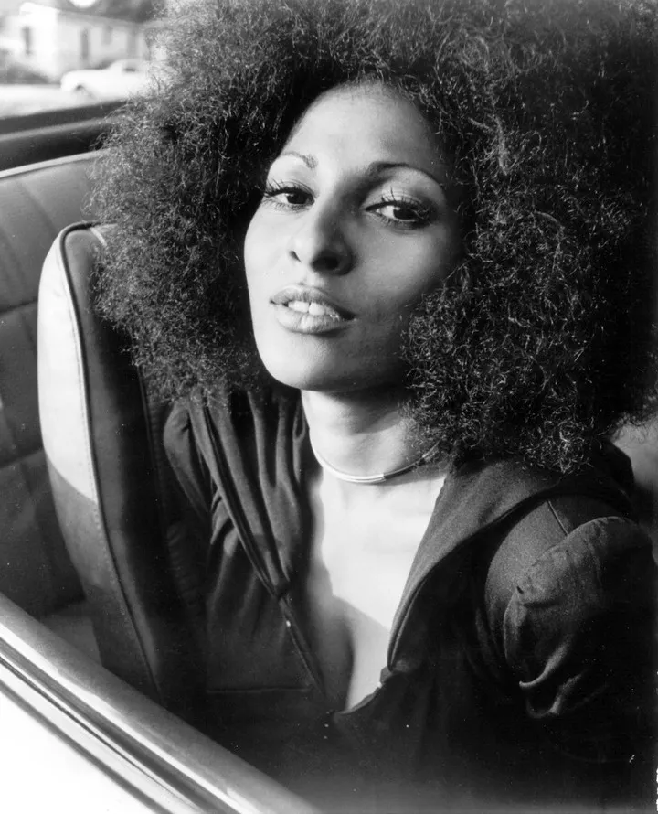 The Natural Afro